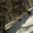 ski forêt 2